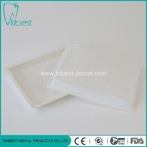  20.6x15.5cm Dental Plastic Tray Inside Unseparated Spot Surface Manufactures