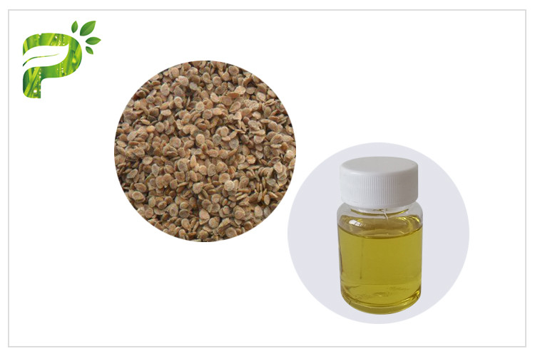  Anti Aging Tomato Seed Oil Cold Pressed Natural Plant Extract Fatty Acids Ingredient Manufactures