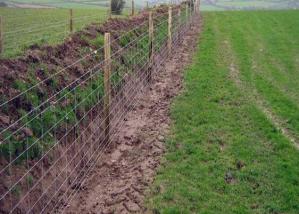  Electric Galvanized Iron Wire Cattle Mesh Fencing For Livestock Manufactures