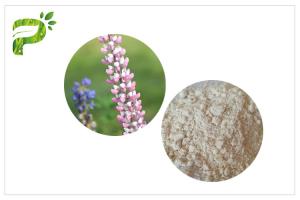  Lupeol Plant Extract Powder Anti Inflammatory High Purity 98% CAS 545 47 1 Manufactures