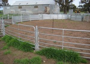  Cattle 1.12m Height Weld Mesh Sheep Panels Silver Spray Paint Manufactures