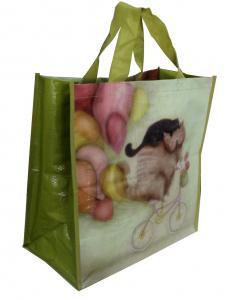  PP Woven Reusable Carrier Bags Both Sides Shining Coats , eco friendly Manufactures