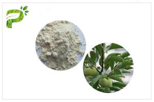  Natural Plant Ursolic Acid Extract , CAS 77 52 1 Persimmon Leaf Powder High Purity Manufactures