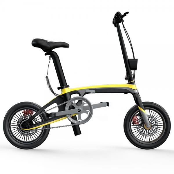 Quality Carbon Fibre Lightest Folding Electric Bike 250W With Sealed Axis for sale