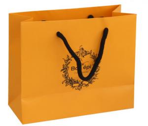  Cheap Custom Printed Luxury retail paper shopping bag Supplier Manufactures