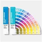  Solid Coated / Uncoated Paper Paint Color Cards 2019 Pantone GP6102A Color Bridge Guide Set Manufactures