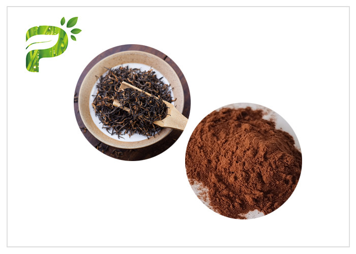  Tea Premixes Water Soluble Instant Black Tea Extract Powder Manufactures