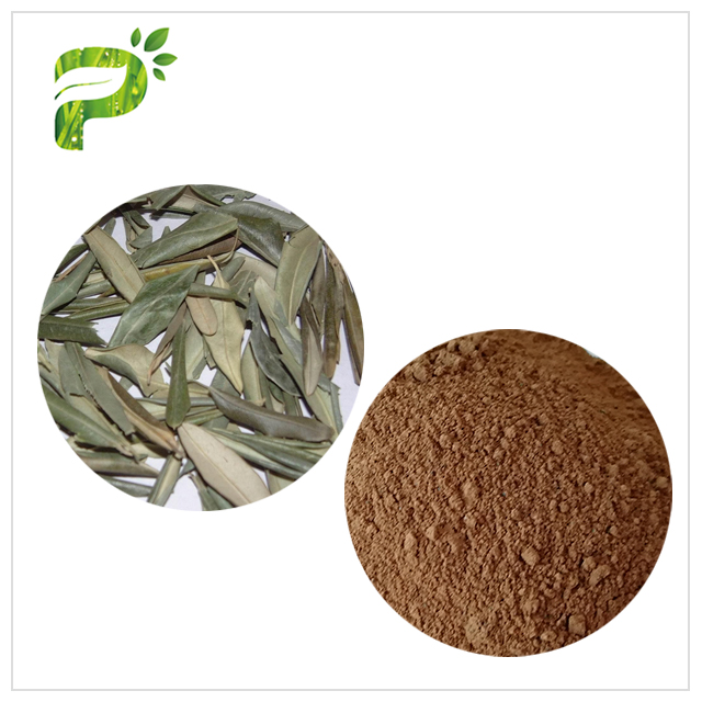 Hydroxytyrosol 20% Pure Olive Leaf Extract , Olive Leaf Powder CAS 32619 42 4