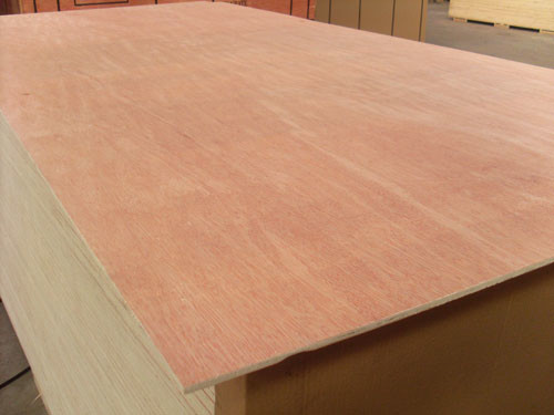  Bintangor Face / Back Commercial Plywood 8% - 14% Moisture Content No Harm For Kids Manufactures