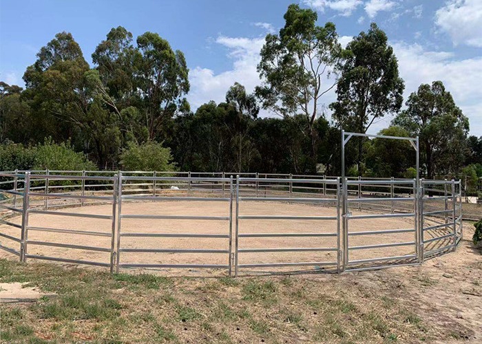  Galvanized Pipe Fence 1.8x2.1m Heavy Duty Horse Panels Welded Wire Manufactures