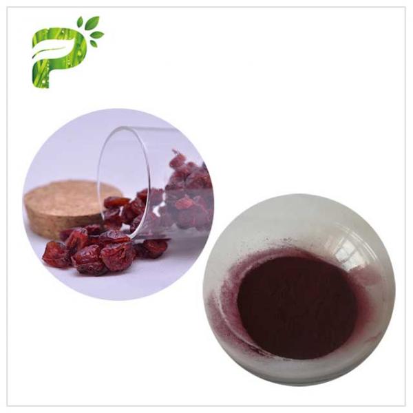 Wound Healing Natural Cranberry Extract Dark Red Color With Ethanol Solvent