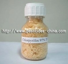 Systemic Insecticide Cas 2921-88-2 Chlorpyrifos 40% EC,48% EC,97%TC