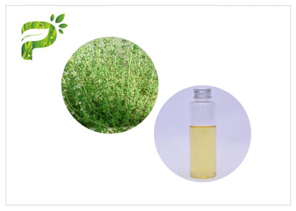 Anti Bacterial Natural Essential Oils Thyme Oil With Thymol CAS 8007 46 3