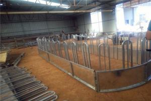  Cattle / Horse 1.06m Round Hay Feeder Livestock Handling Equipment Manufactures