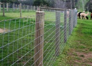  Full Galvanized 1.2m Fixed Knot Wire Cattle Fencing Manufactures