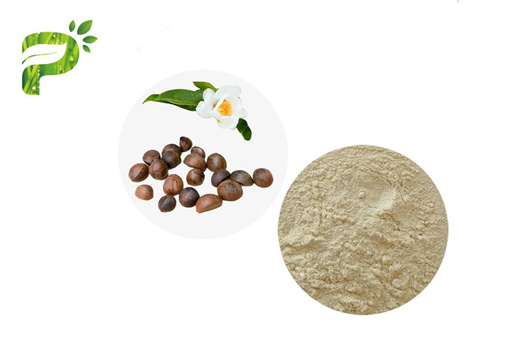  Abel Seed Tea Saponins Organic Pesticides Powder Camellia Oleifera UV Test Manufactures