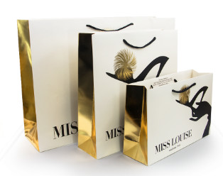  Luxury Shopping Paper Bags with Your Own Logo Printing Paper Bags Manufactures