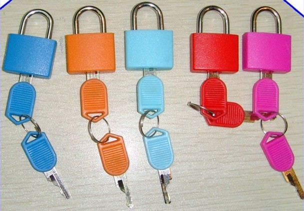  Mini Plastic Lock/20MM Mini Lock Manufactures