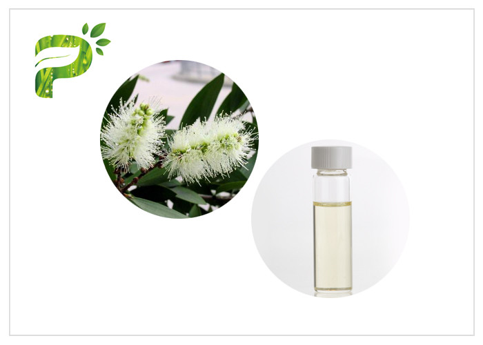  CAS 8008 98 8 Eco Friendly Essential Oils Aromatherapy Oil Cajeput Oil With Cajeputol Manufactures