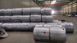  Electro Galvanized Wire Manufactures