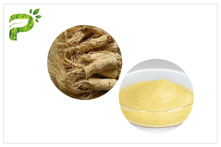  Anticancer Property Chinese Ginseng Extract Ginsenoside Rh2/Rg3 Manufactures