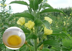  PMS Organic Plant Oils Dietary Supplement Evening Primrose Oil for Capsules Manufactures