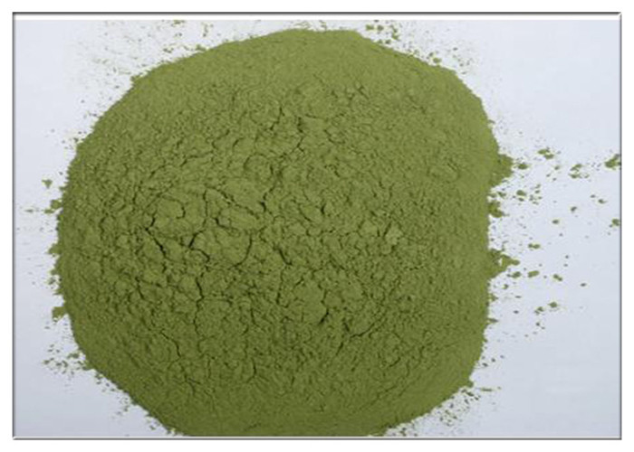  Bayberry Bark Extract Natural Anti Inflammatory Supplements Green Powder CAS 529 44 2  Manufactures