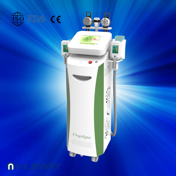  Fat dissolving cryolipolysis machine / vacuum slimming beauty machine with Bottom Price Manufactures