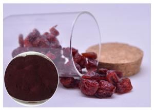  Skin Moisturizing Antibacterial Plant Extracts Dark Red Powder From Cranberry Manufactures