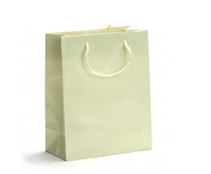  Recycled Paper Carrier Bags Manufactures