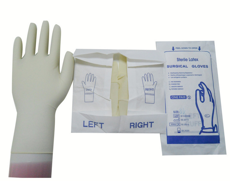  Latex Free Disposable PVC Gloves , Anti Puncture Surgical Hand Gloves Manufactures