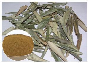  Hydroxytyrosol 20% Pure Olive Leaf Extract , Olive Leaf Powder CAS 32619 42 4 Manufactures
