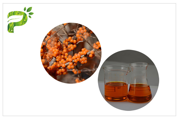  Seabuckthorn Seed Oil Natural Plant Oils Supplement For Immune System Manufactures