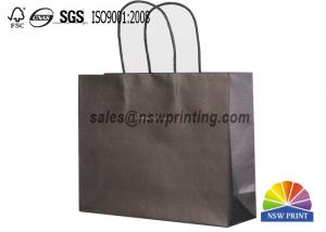  Twisted Paper Handle Fashion Clothing Paper Bags Logo Printed Retail Shopping Bags Manufactures