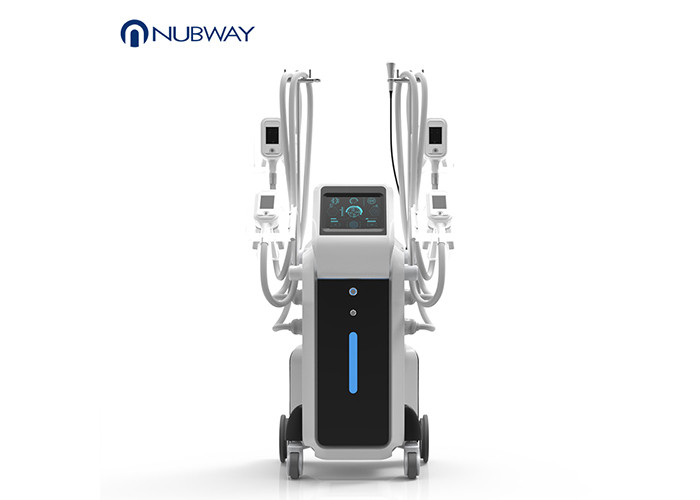  Unique 4 Handles Work Together Cryolipolysis Slimming Machine Fat Freezing Cryo Manufactures