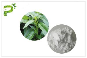  Andrographis Paniculata Herbal Plant Extract Andrographolide Anti Cancer CAS 5508 58 7 Manufactures