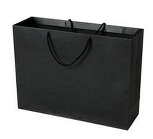 Glossy Lamination Ribbion Handle Luxury Paper Shopping Bags for Clothing Boutiques