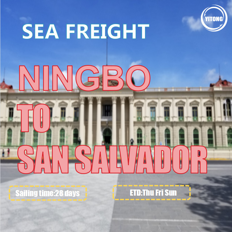  Professional International Sea Freight From Ningbo To San Salvador Via ACAJUTLA Manufactures