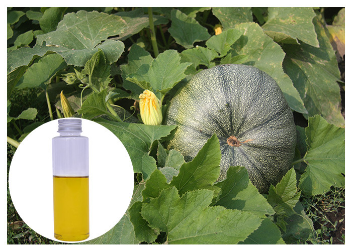  Lower Blood Fat Organic Cucurbita Pepo Oil From Seed Linolieic Acid Ingredient Manufactures