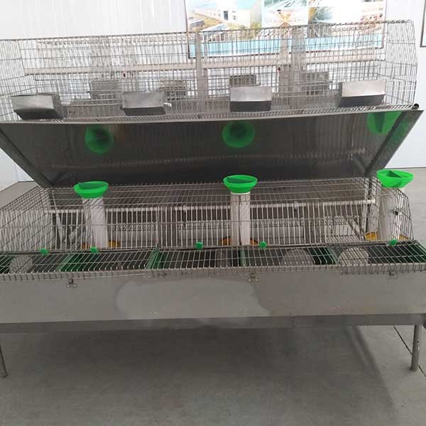  2400 * 2000 * 1500mm Farm Rabbit Cage Q235 Steel Wire / Plastic Material Manufactures