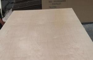  White Birch UV Coated Plywood Poplar / Eucalyptus Core Type 2.5 - 20mm Thickness Manufactures