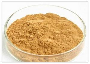  Brown powder Natural Anti Inflammatory Supplements Extracted from Dandelion Root Manufactures