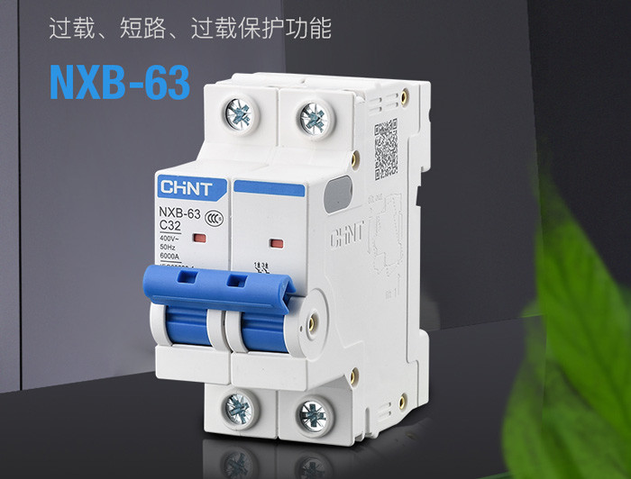  Chint NXB Miniature Circuit Breaker 1~63A, 80~125A, 1P,2P,3P,4P for Circuit Protection AC230/400V Use Manufactures