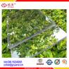 Buy cheap UV coated clear lowes polycarbonate solid panels roofing sheet from wholesalers