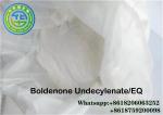  Pharma Grade Boldenone Undecylenate Powder CAS 13103-34-9 For Bodybuilding Manufactures