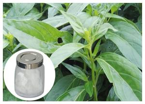  98% Andrographis Paniculata Supplement Powder Anti Cancer With HPLC Test Manufactures