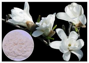  50% - 95% Magnolol Magnolia Bark Supplement , Magnolia Officinalis Bark Extract HPLC Test Manufactures