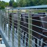 Buy cheap Premade handrails for deck stairs with stainless steel structure from wholesalers