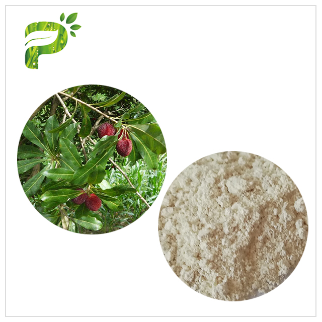 Bayberry Bark Extract Natural Anti Inflammatory Supplements Green Powder CAS 529 44 2