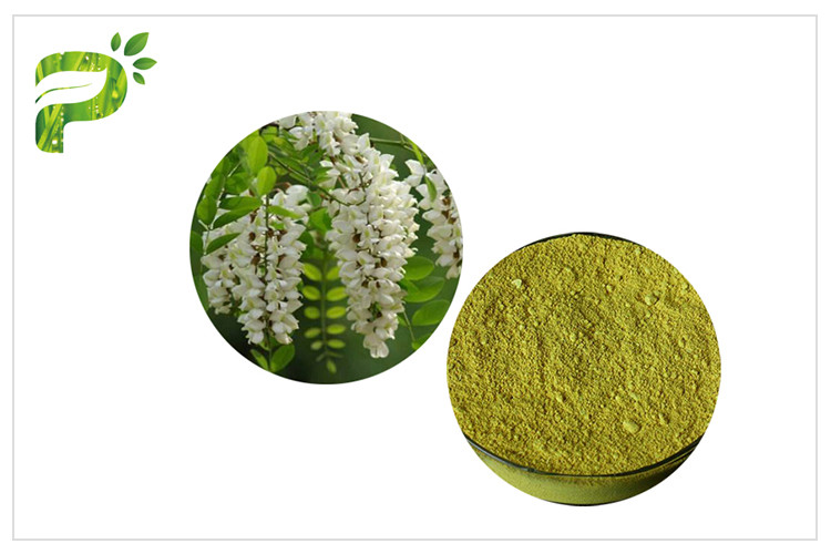  Natural Anti Inflammatory Supplement Sophora Japonica L. Extract Quercetin CAS 117 39 5 Manufactures